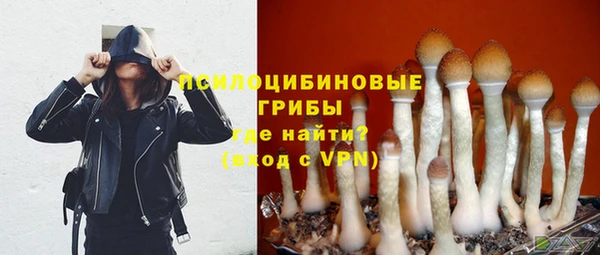 ПСИЛОЦИБИНОВЫЕ ГРИБЫ Бородино