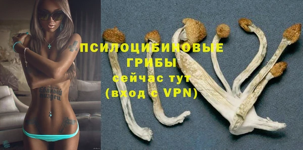 а пвп мука Бронницы