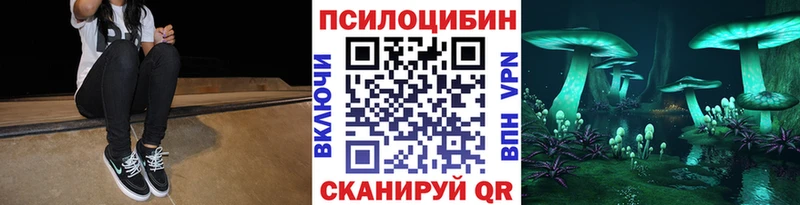 Псилоцибиновые грибы Psilocybe  купить наркотики цена  Новоуральск 